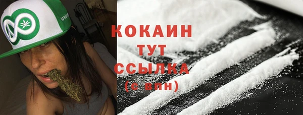 ECSTASY Богородицк