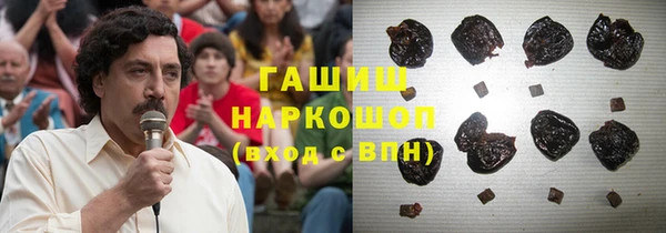 apvp Богданович