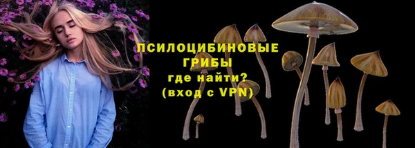 apvp Богданович