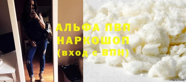 ECSTASY Богородицк