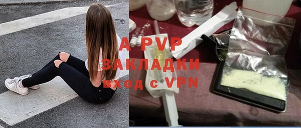 apvp Богданович
