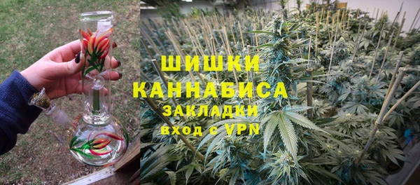 apvp Богданович