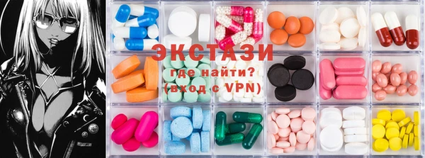 ECSTASY Богородицк