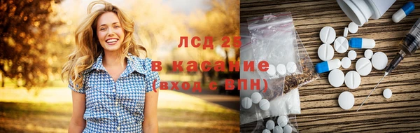ECSTASY Богородицк