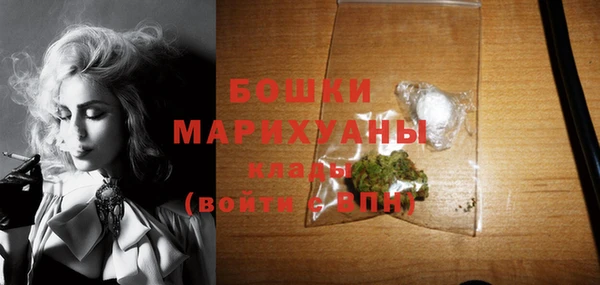 ECSTASY Богородицк